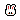 Cottontail Head