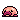 Blob Fish
